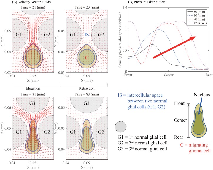 Fig 8