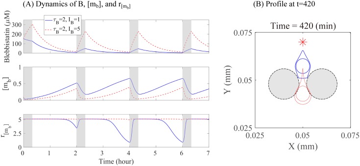 Fig 21