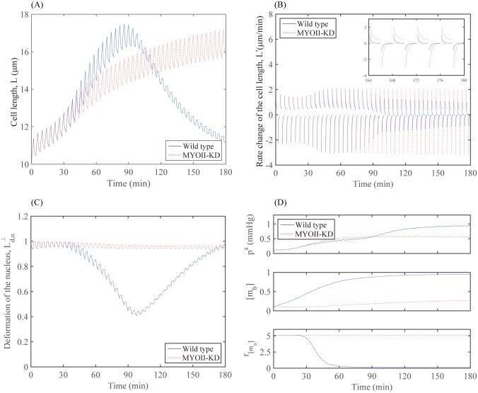 Fig 11