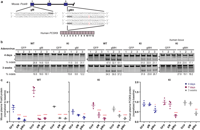 Extended Data Fig. 6.