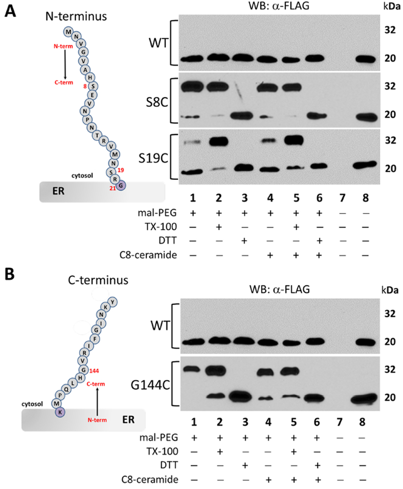 Figure 4 –