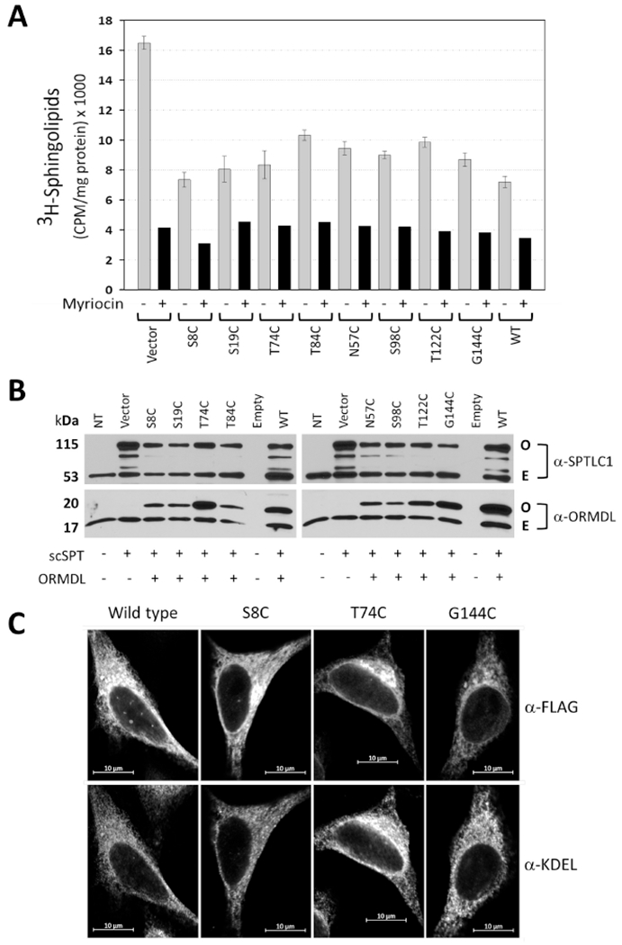 Figure 2 –