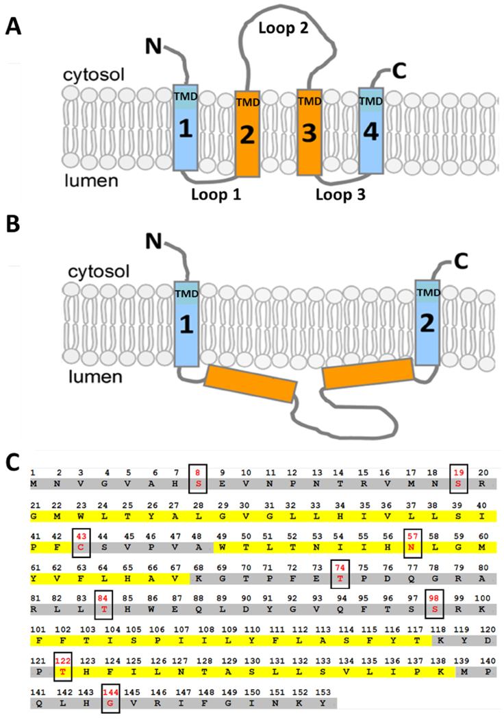 Figure 1 –