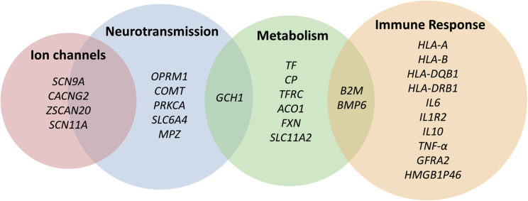 Figure 3