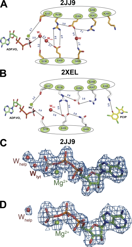 FIGURE 5.