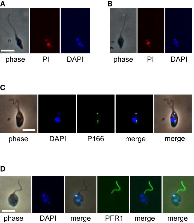 Figure 3