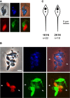 Figure 2