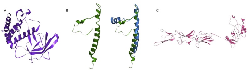 Fig. S4