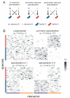 Figure 4—figure supplement 4.