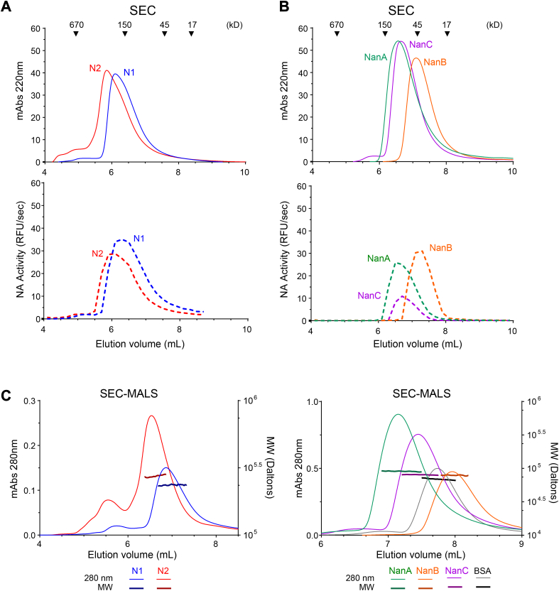 Figure 2