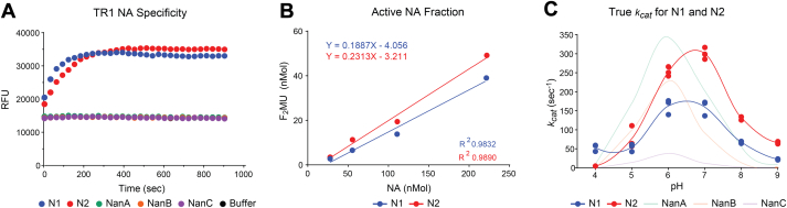 Figure 4