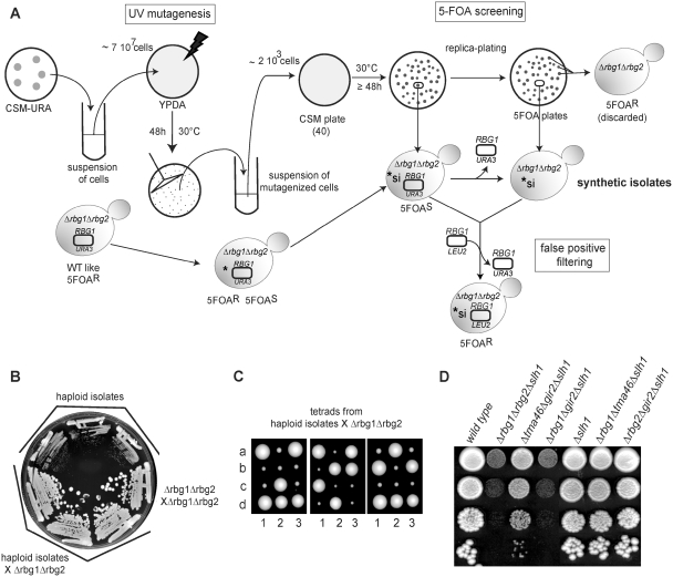 Figure 3.