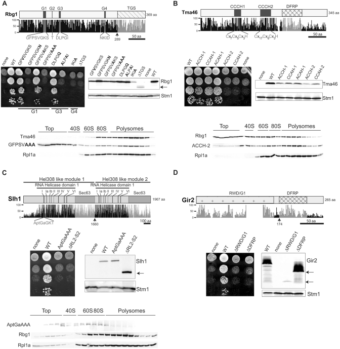 Figure 6.