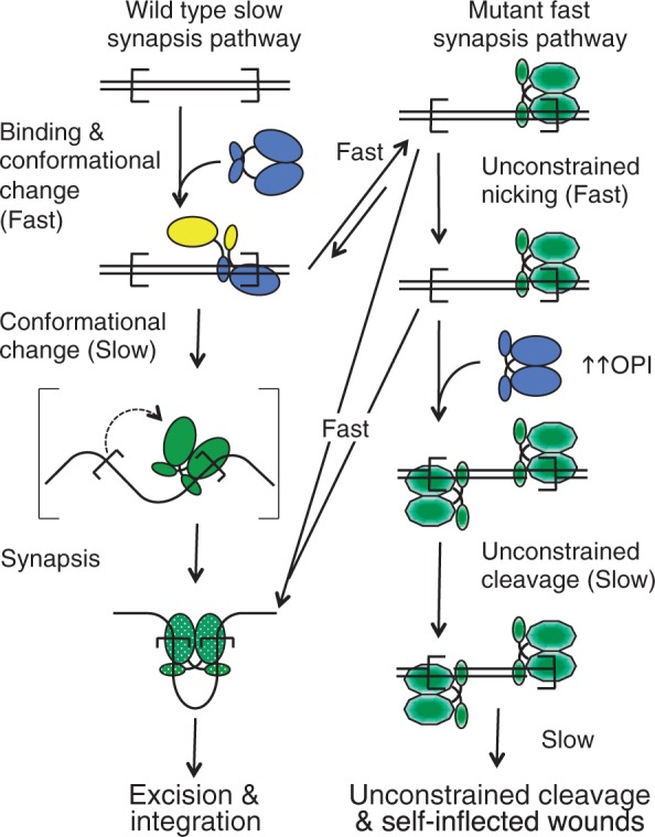 Figure 5.