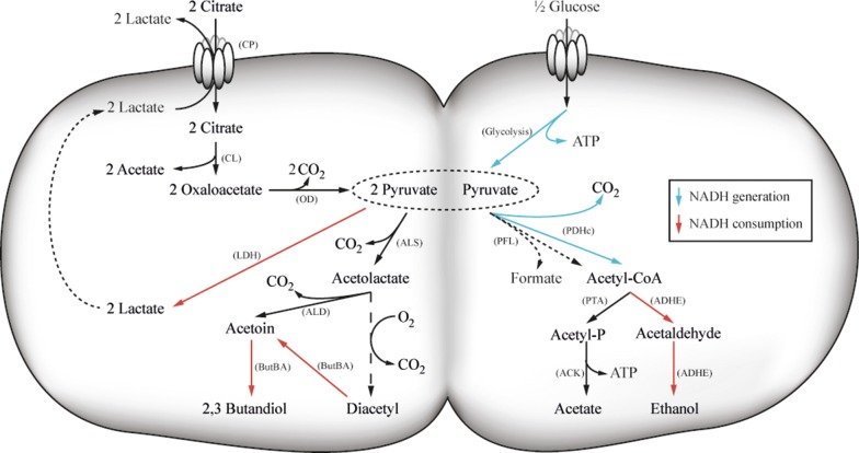 Fig. 1