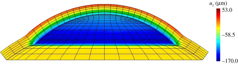 Figure 11.