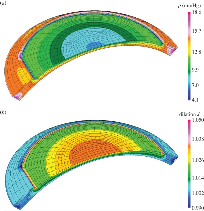 Figure 15.