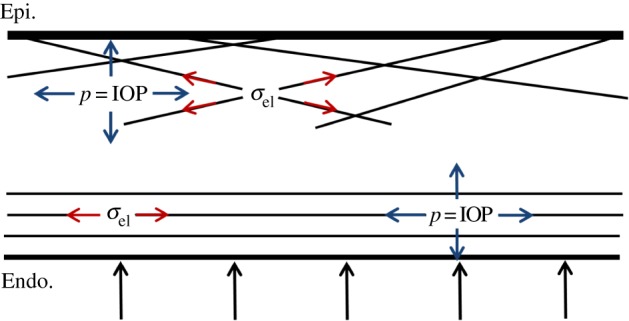 Figure 12.