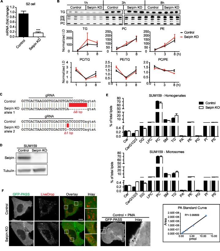 Figure 1—figure supplement 1.