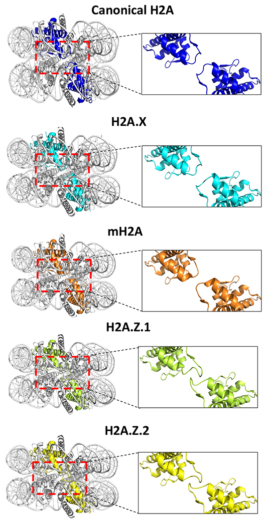 Figure 4.