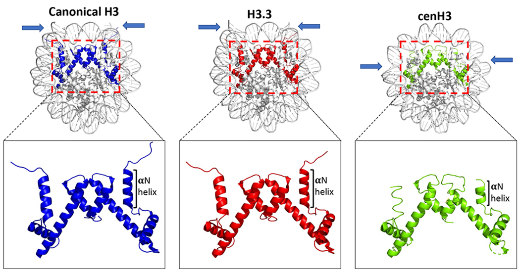 Figure 5.