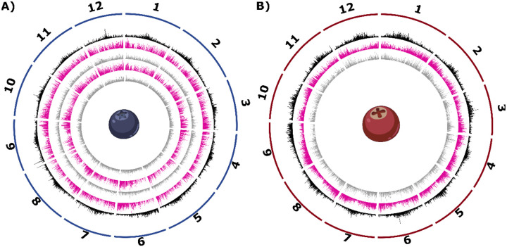 Figure 1: