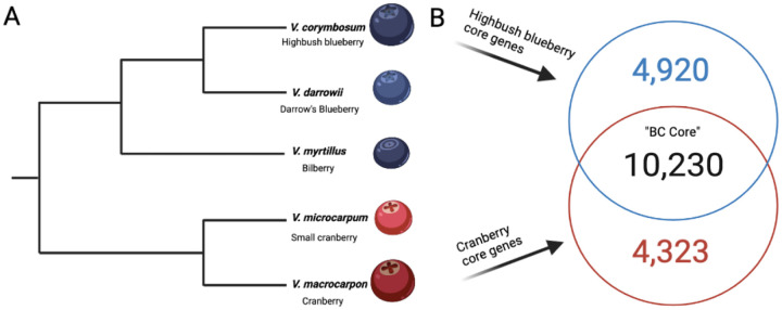 Figure 5: