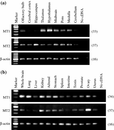 Fig. 6