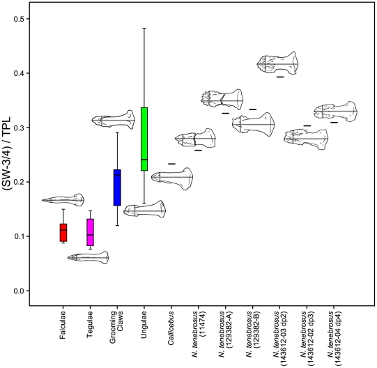 Figure 13