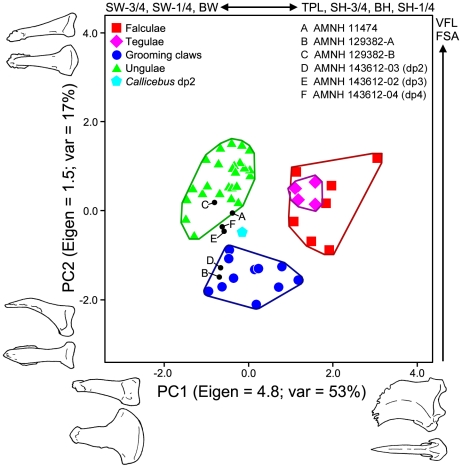 Figure 10