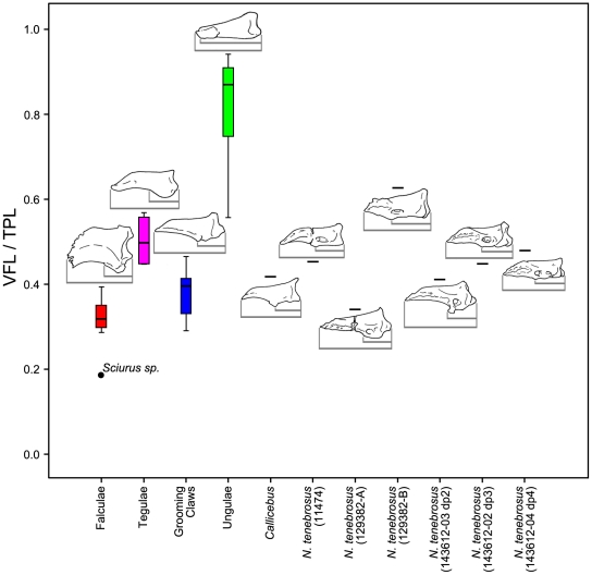 Figure 12