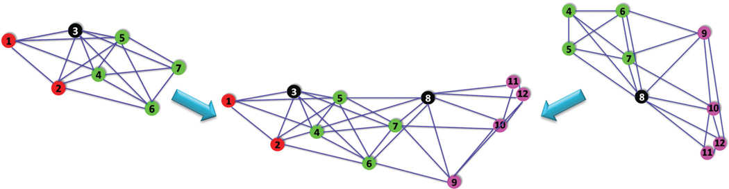 Fig. 10