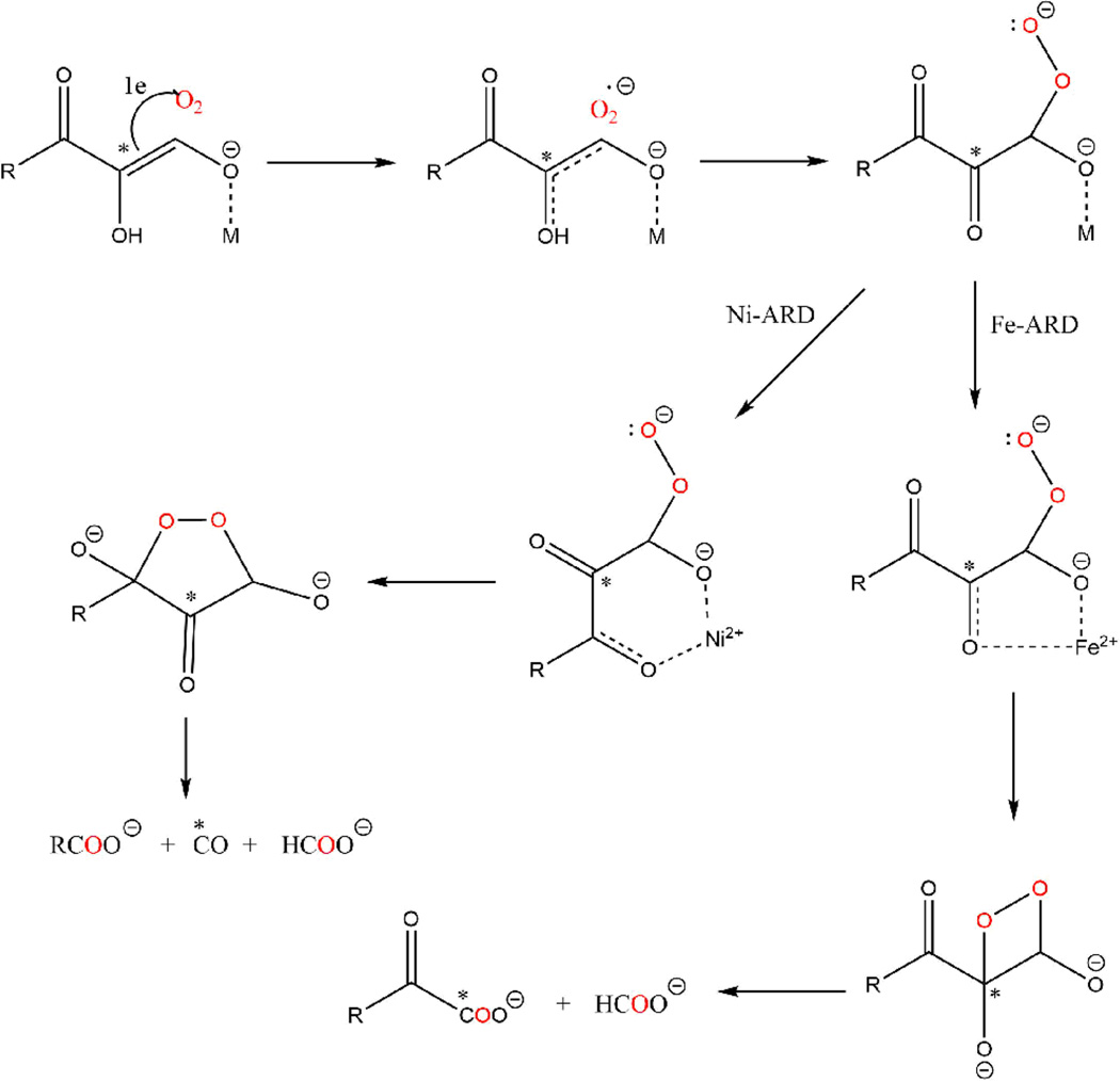 Scheme 3