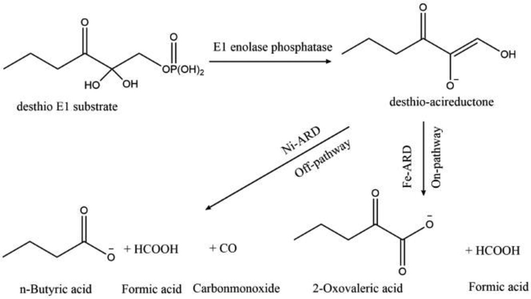 Scheme 2