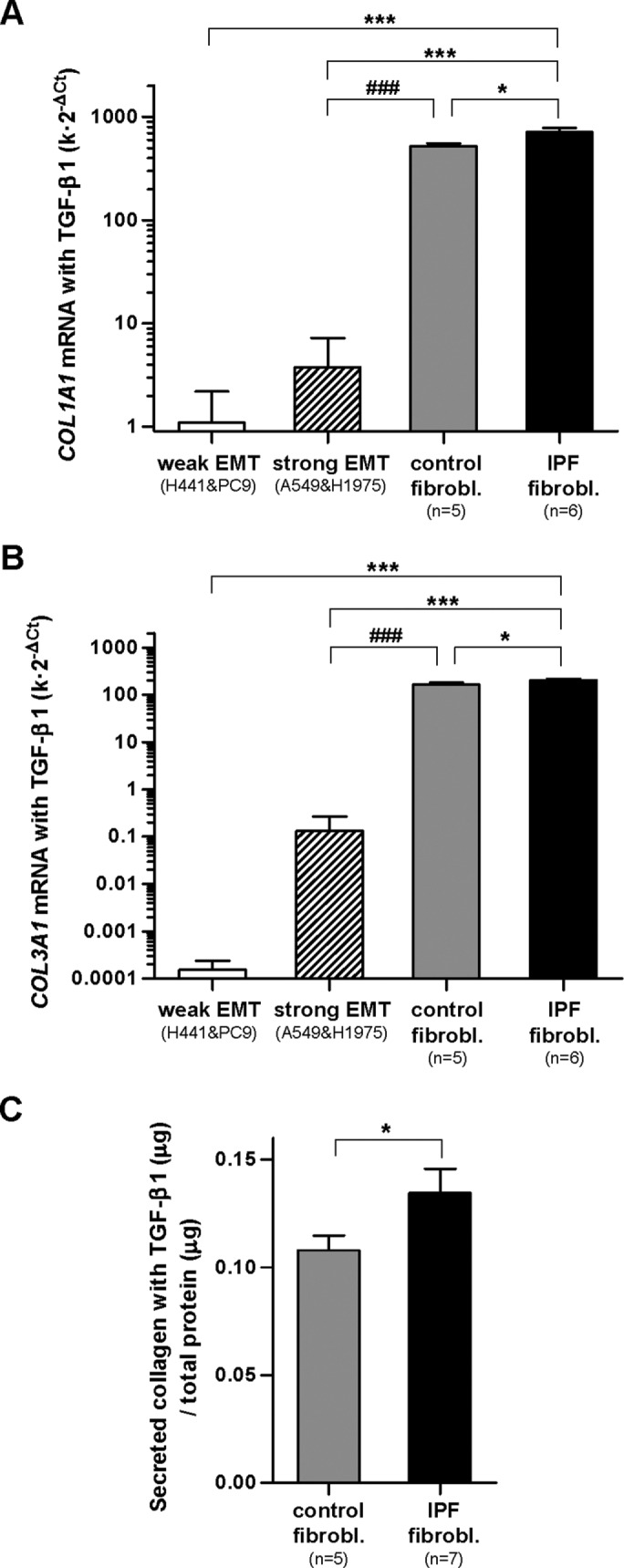 FIGURE 6: