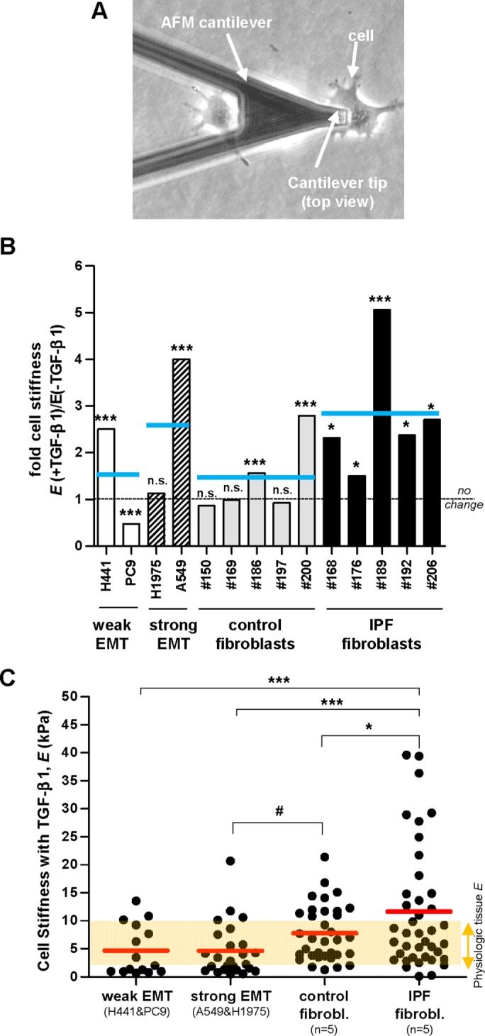 FIGURE 5: