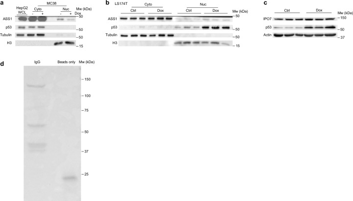 Extended Data Fig. 2