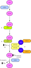 <b>FIG. 6.</b>