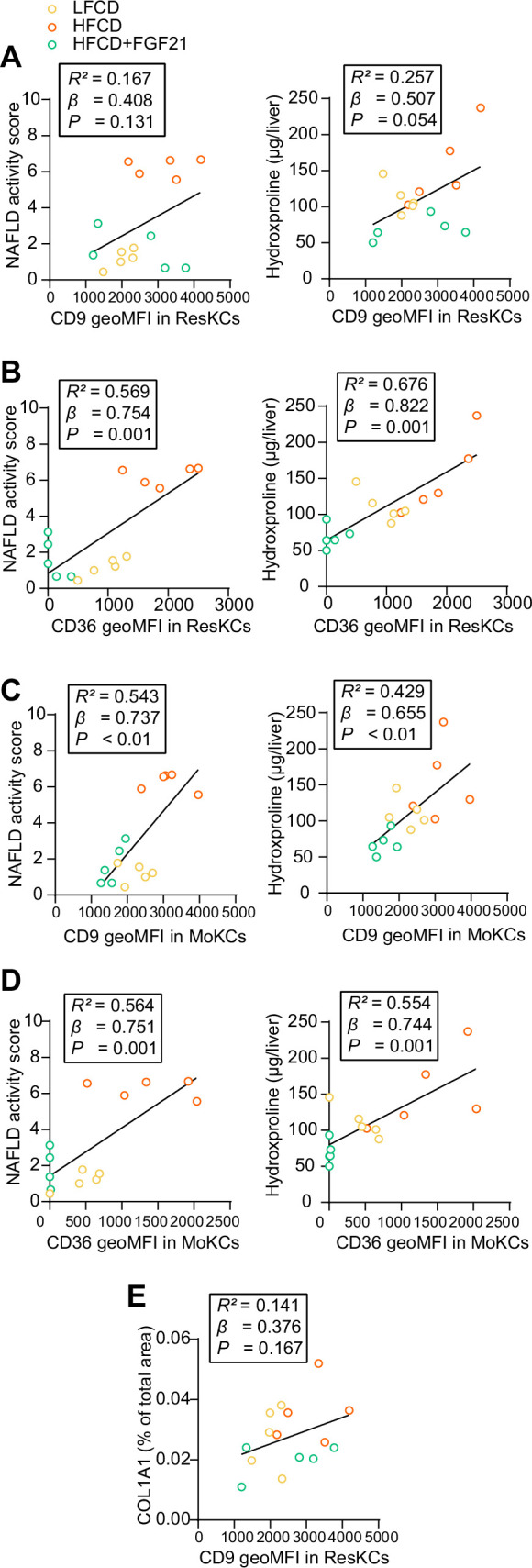 Figure 6—figure supplement 2.