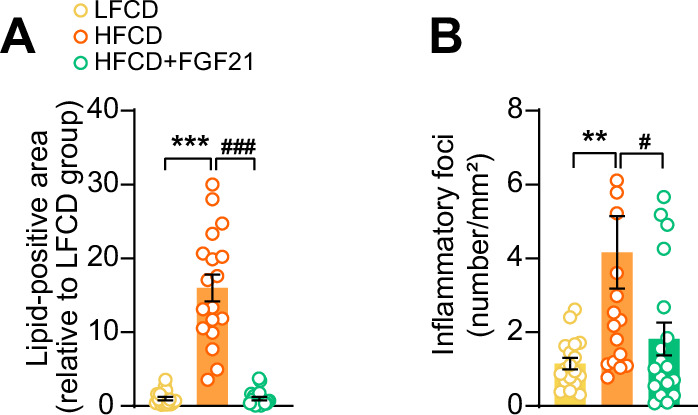 Figure 4—figure supplement 1.