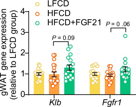 Figure 2—figure supplement 1.