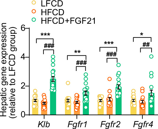 Figure 5—figure supplement 1.