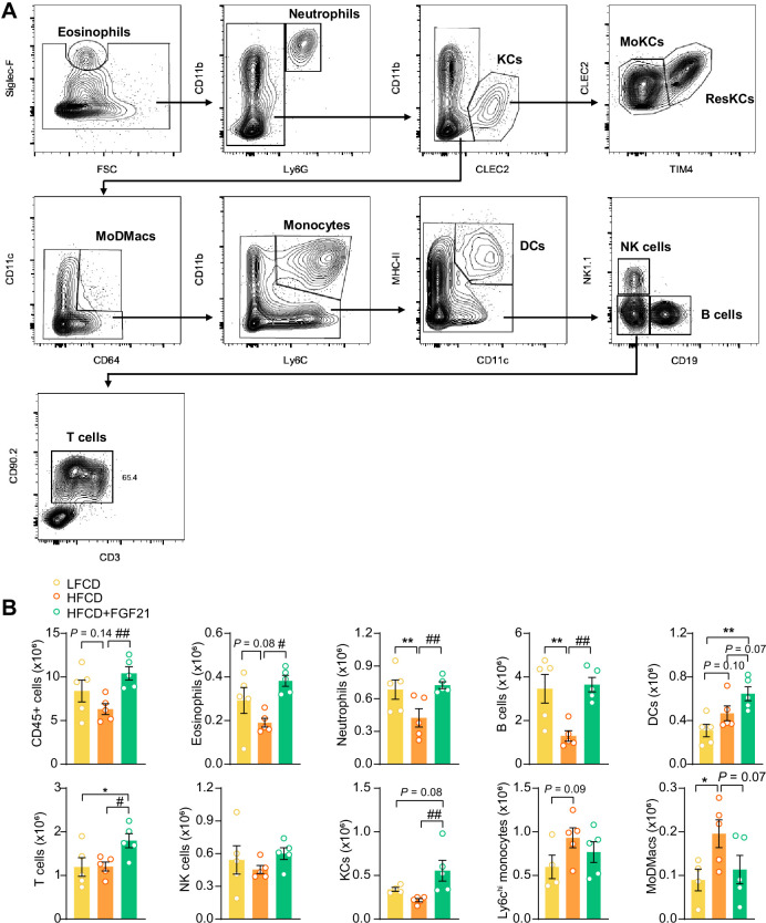 Figure 6—figure supplement 1.