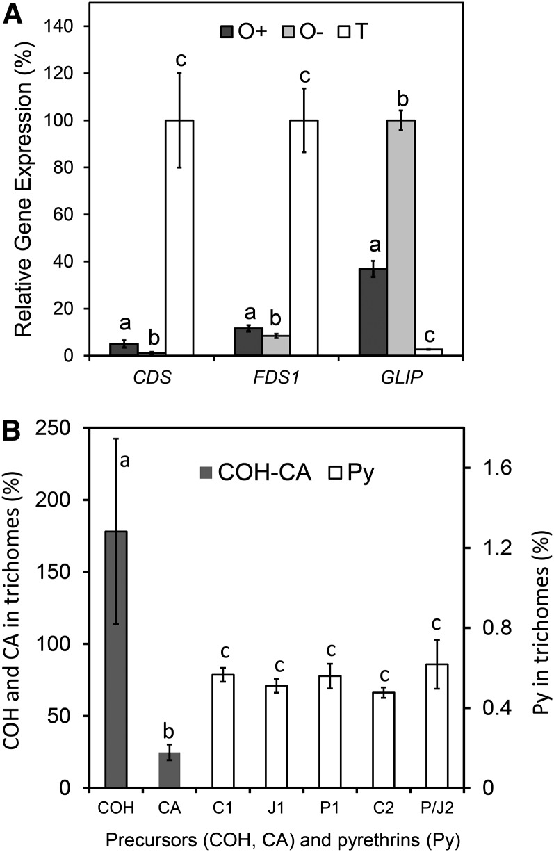 Figure 5.