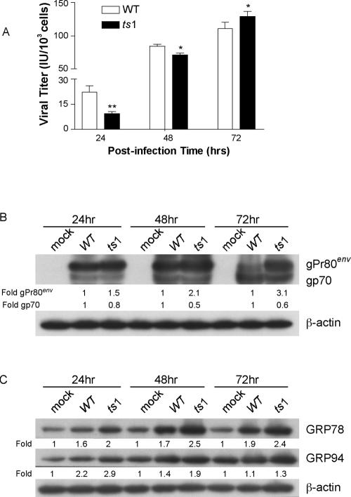 FIG. 3.