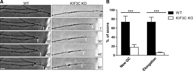 Figure 12.