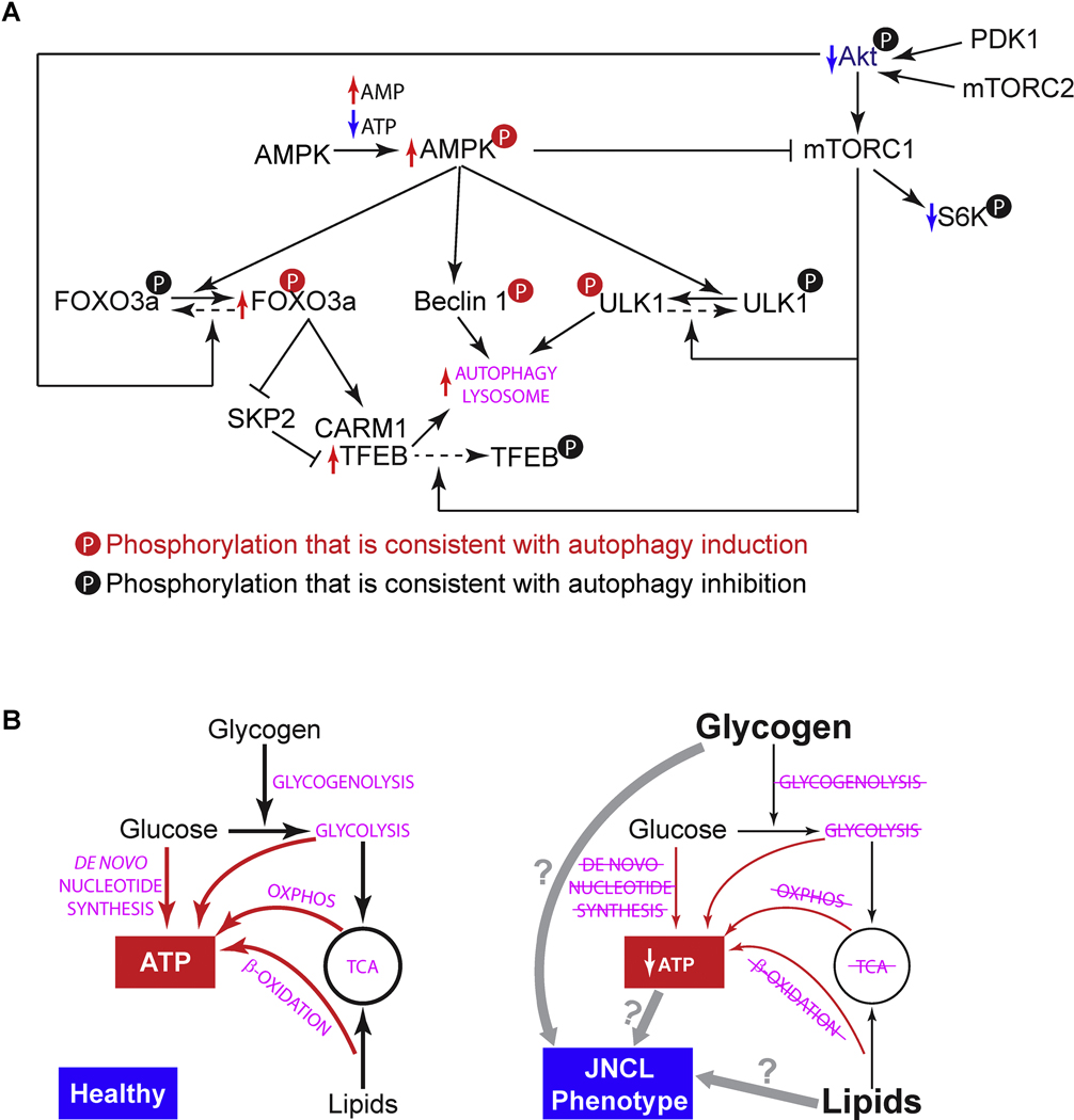 Figure 9.