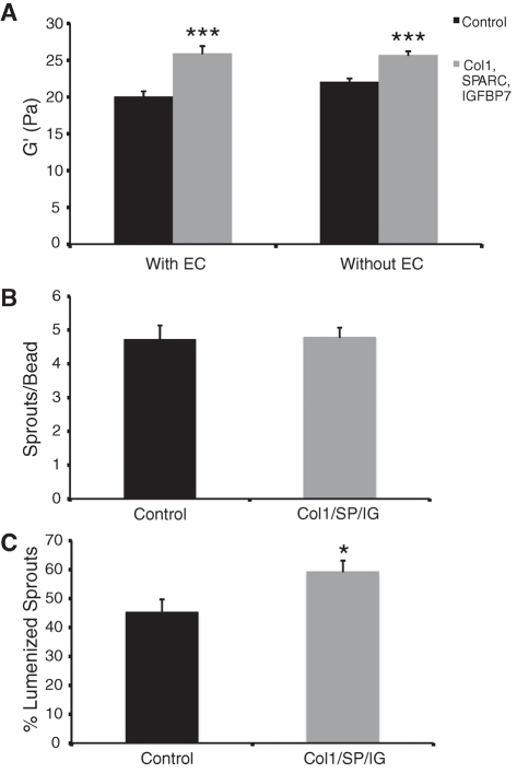 FIGURE 5: