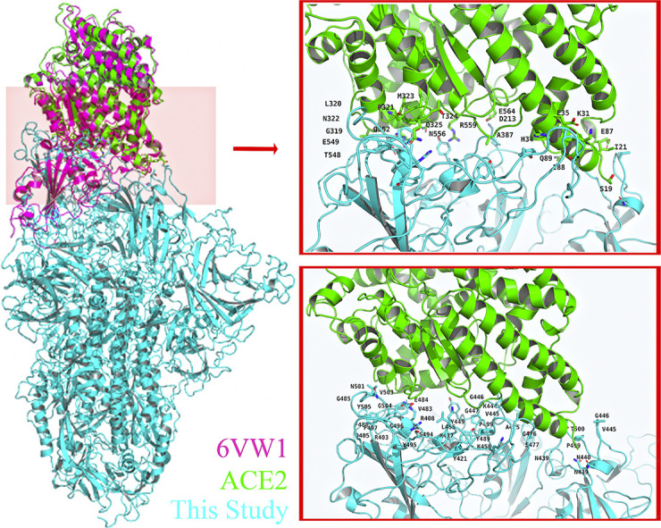 Unlabelled Image