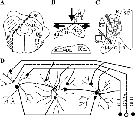 Fig. 1